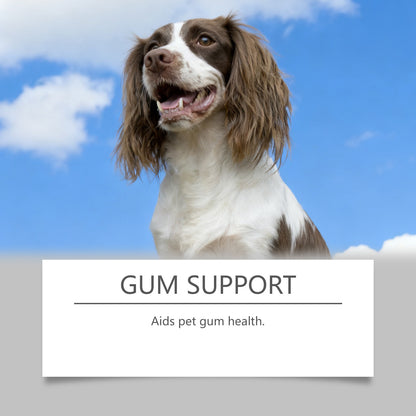 Pet Oral Solution